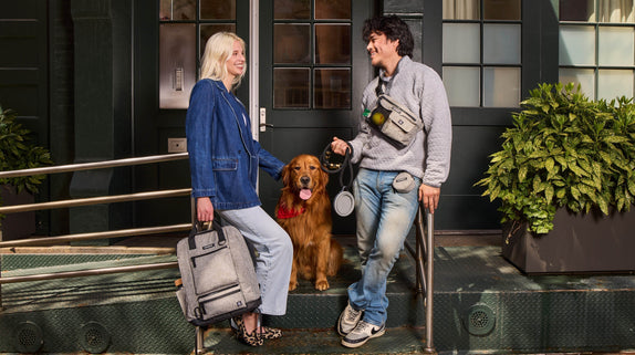 Adventure Ready Dogs: How to Prepare for Every Outing