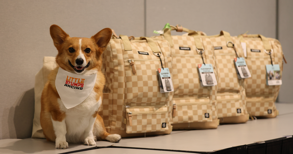 Seen at the Corgi Bowl: The Porter Dog Gear Backpack