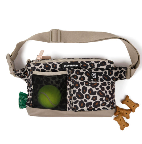 #color_leopard