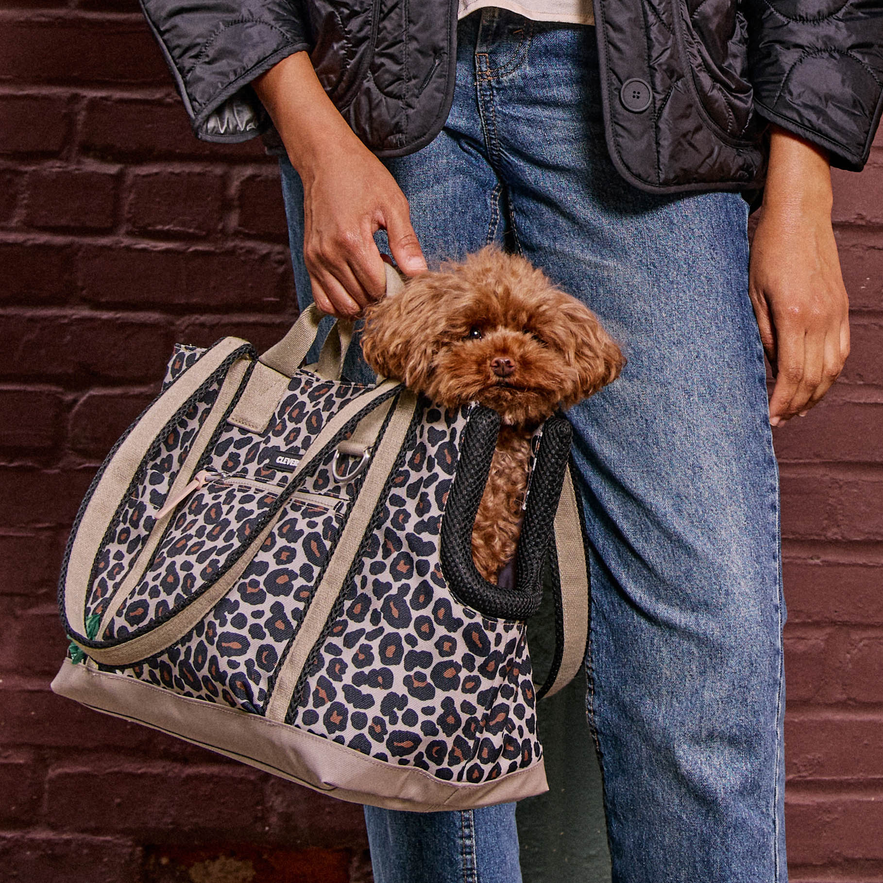 #color_leopard-small