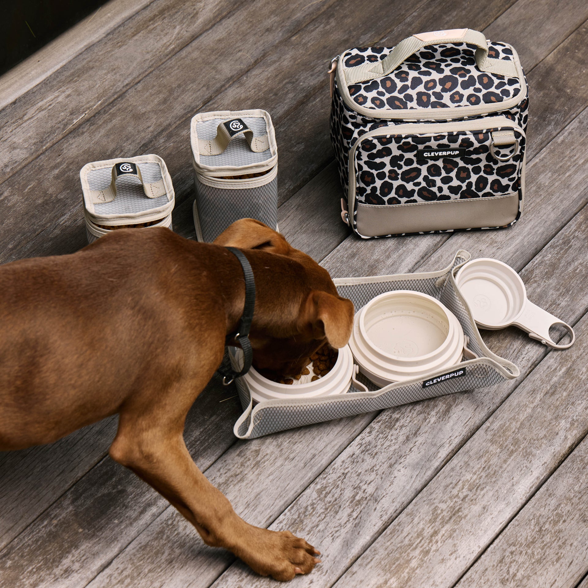 #color_leopard-small