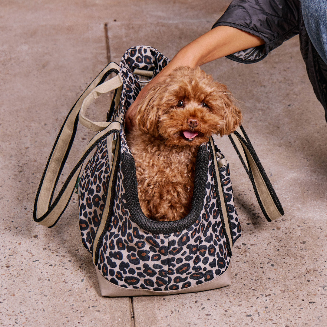 #color_leopard-small