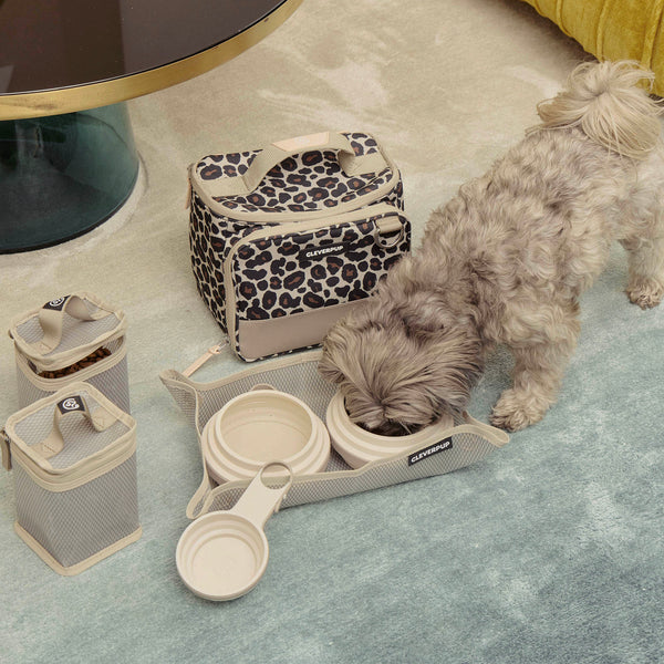 #color_leopard-small