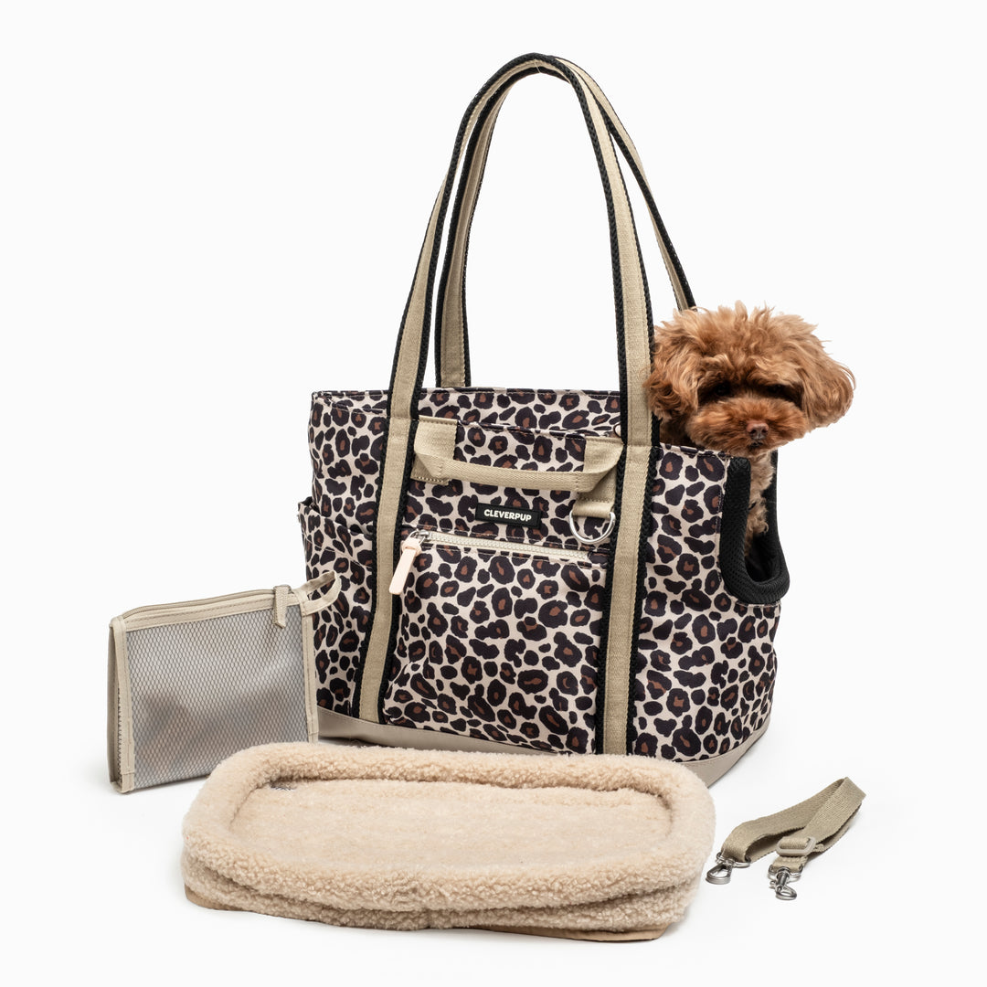 #color_leopard-small