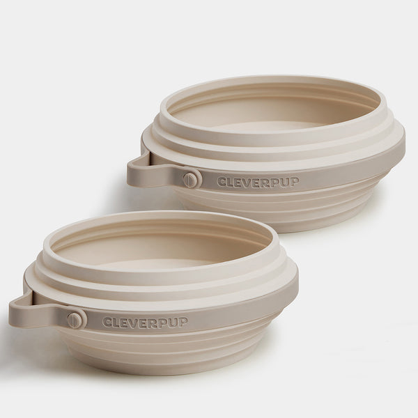 #color_leopard-large