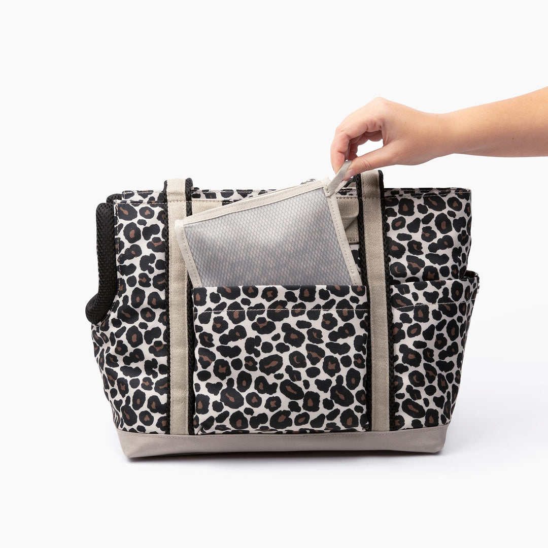 #color_leopard-small