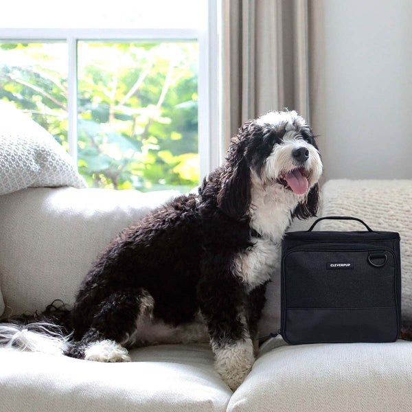 #color_graphite-large