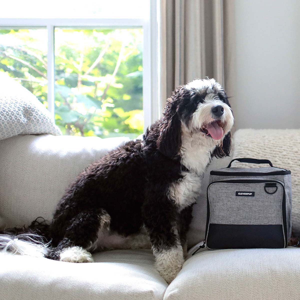 #color_heather-grey-large