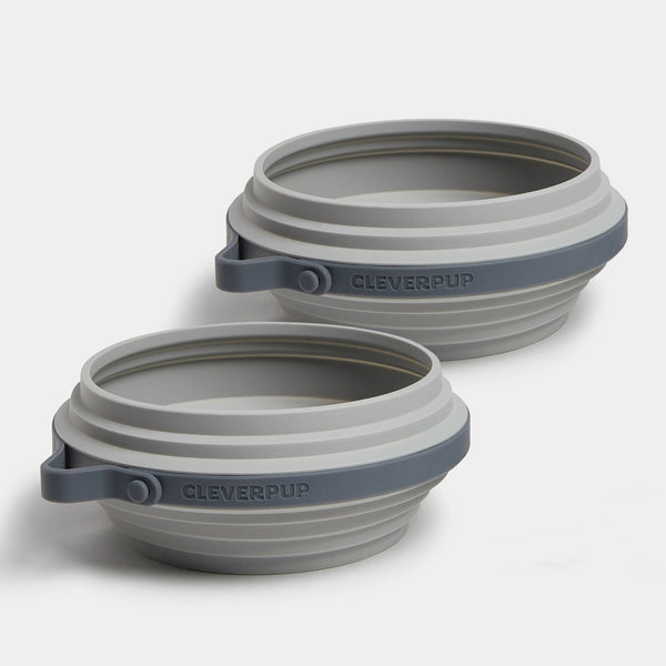 Ultimate Dog Travel Bundle