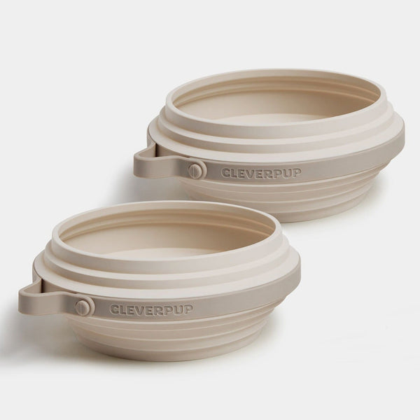 Ultimate Dog Travel Bundle