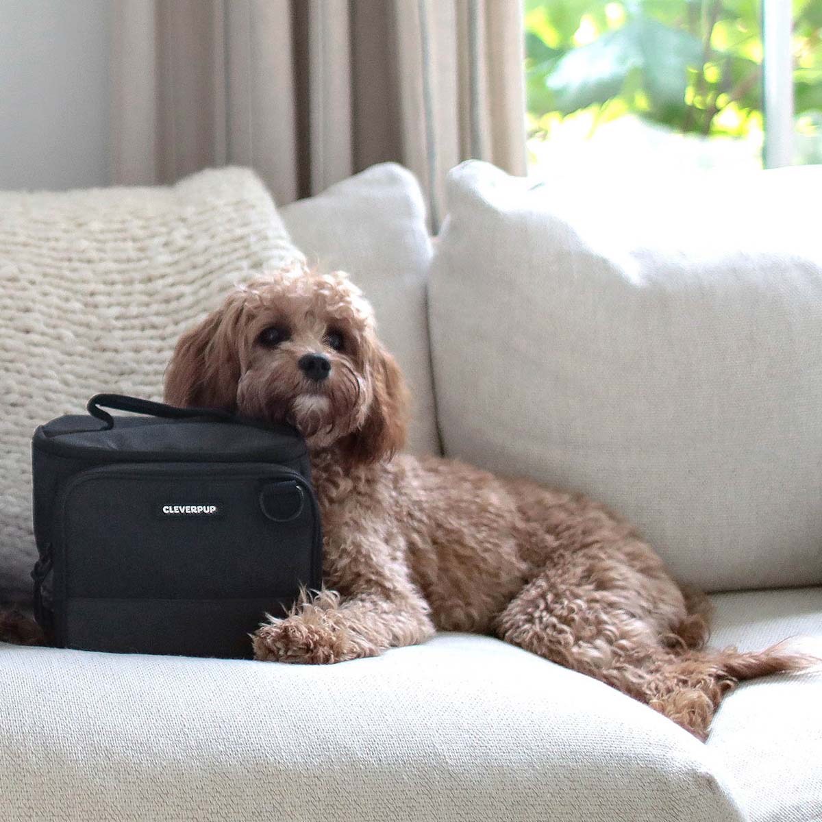 #color_graphite-small