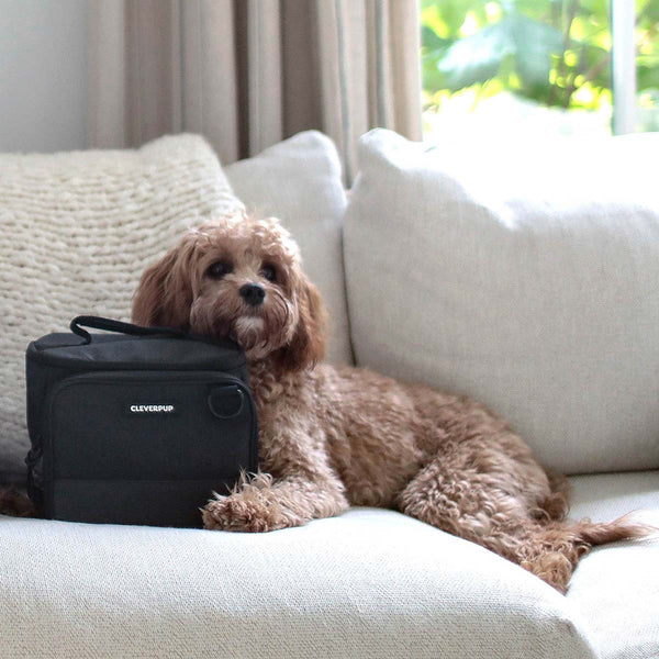 #color_graphite-small