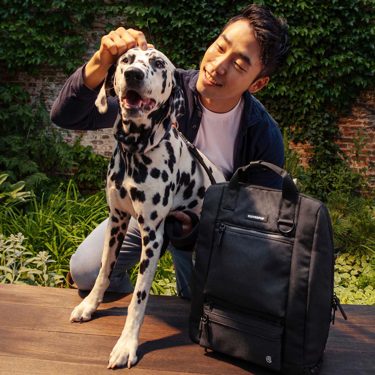 Ultimate Dog Travel Bundle