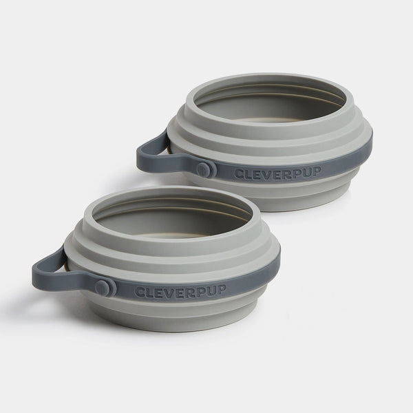 Ultimate Dog Travel Bundle