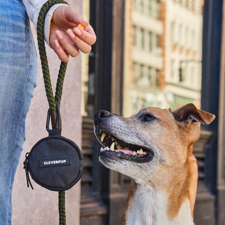 #color_graphite-medium