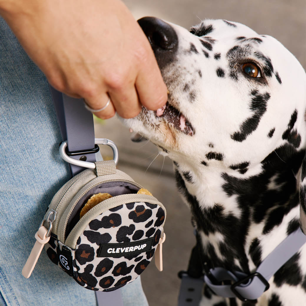 Snackpack Double Insulated Dog Treat Pouch – Cleverpup