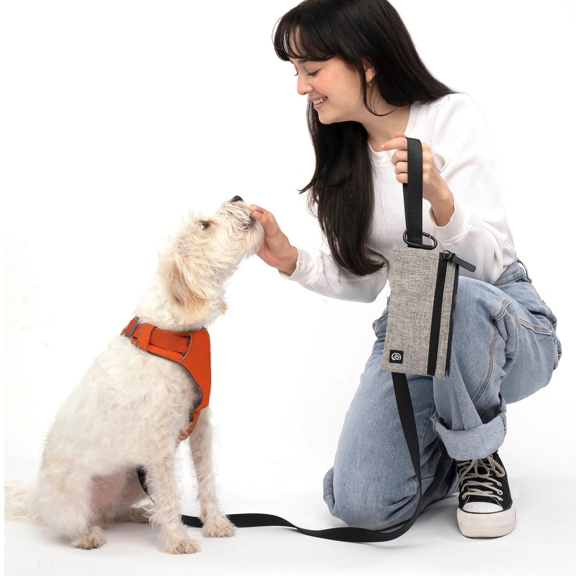 Porter Dog Gear Backpack – Cleverpup