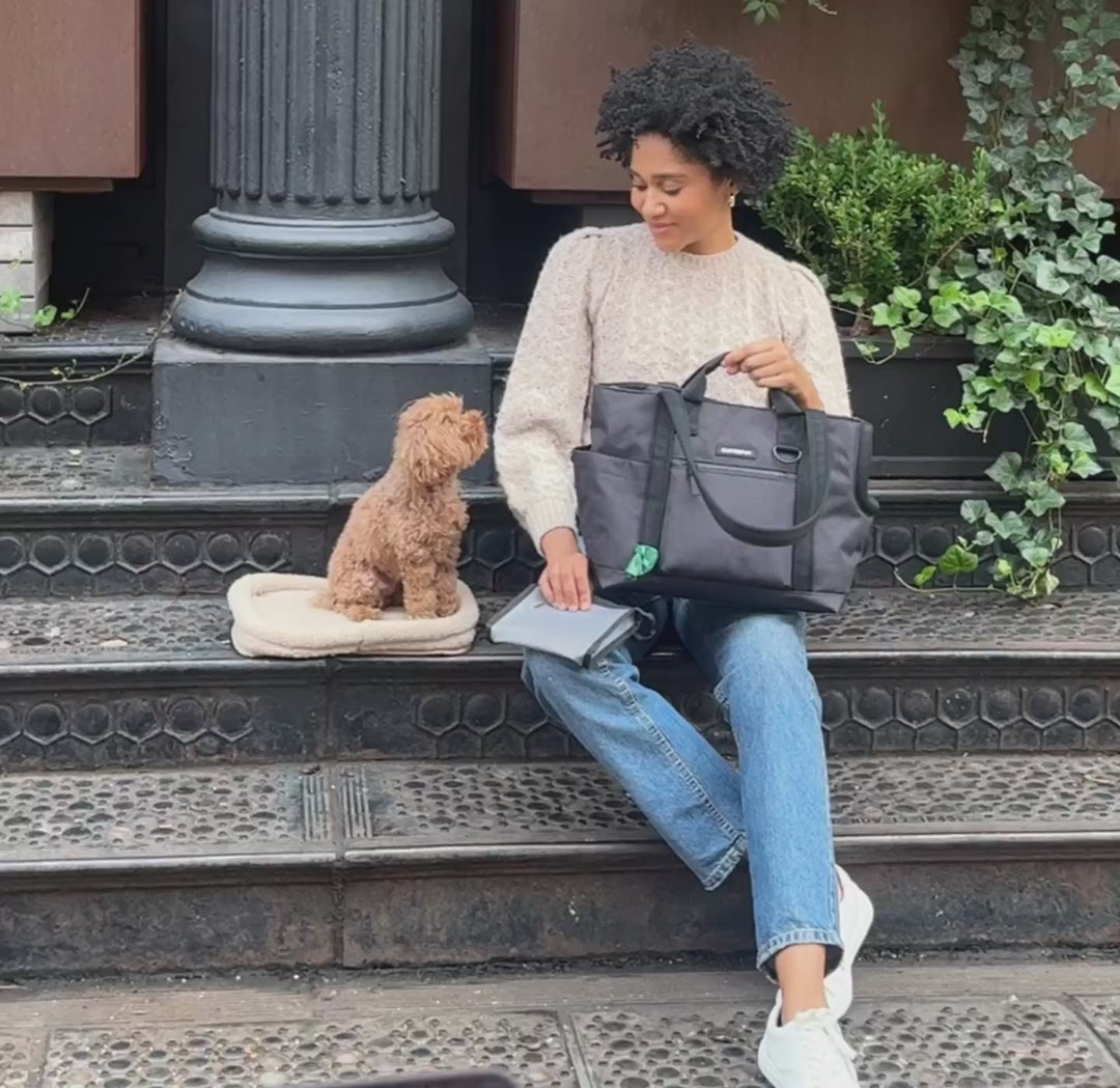 Transit Tote Dog Carrier