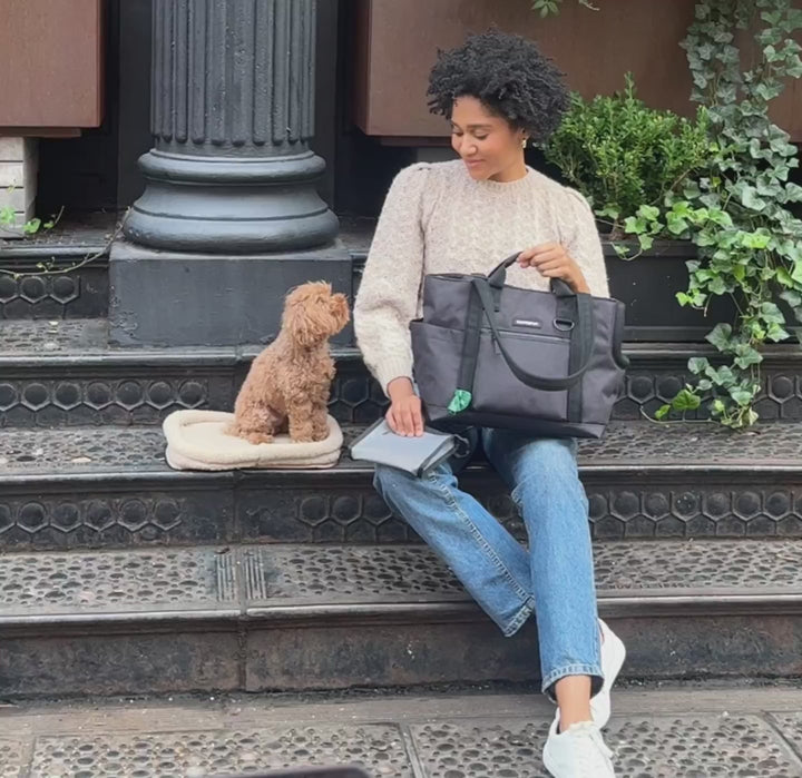 Transit Tote Dog Carrier