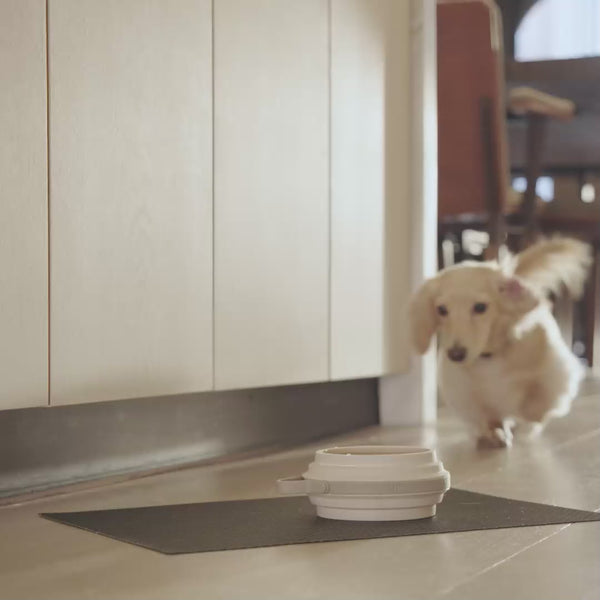 Nomad Collapsible Travel Dog Bowl