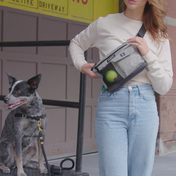 Dog Walk & Train Sling Bag