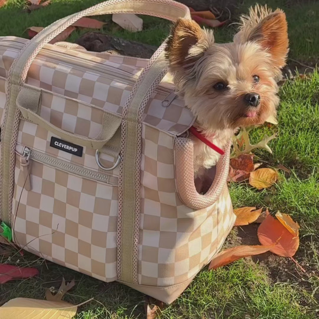 #color_leopard-small