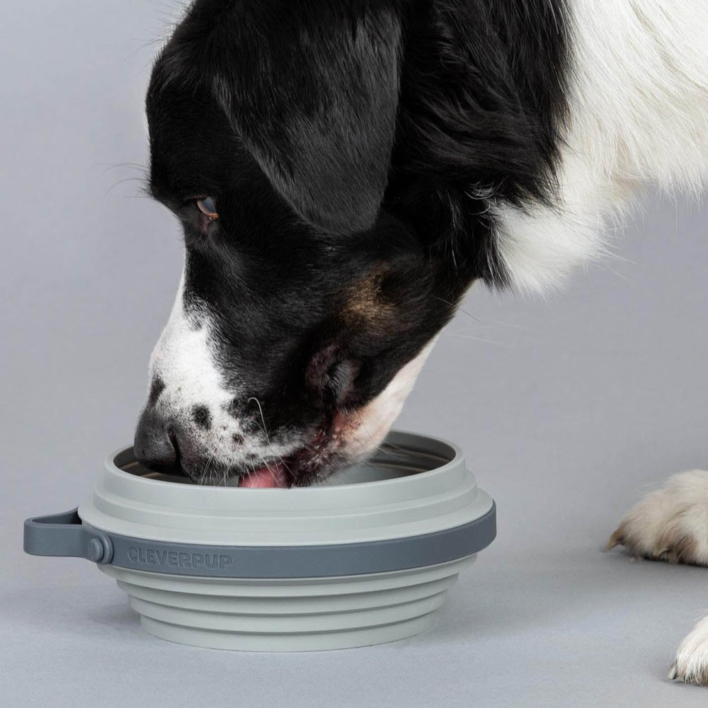 #color_grey-silicone-large